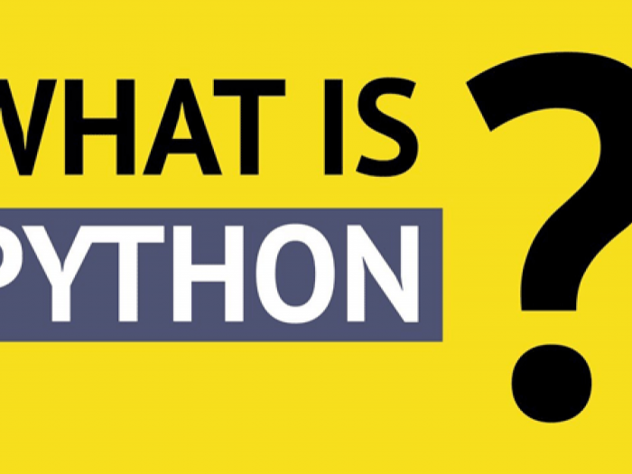 Python là gì?Tại sao nên chọn Python cho người mới bắt đầu